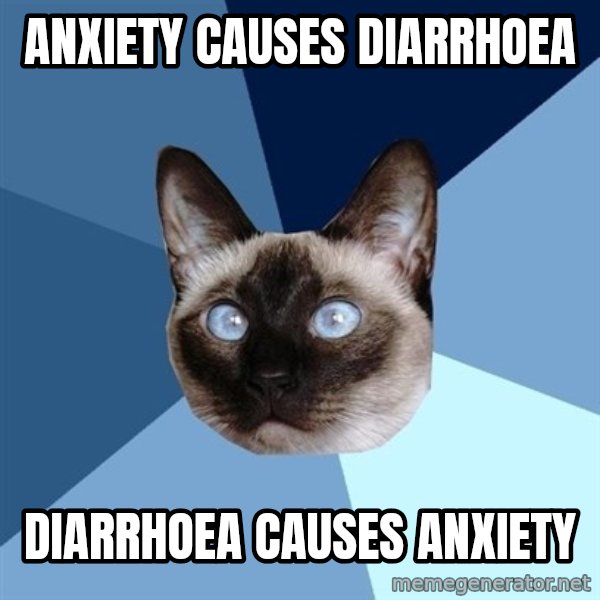 Chronic Illness Cat meme: Anxiety causes diarrhoea / Diarrhoea causes anxiety