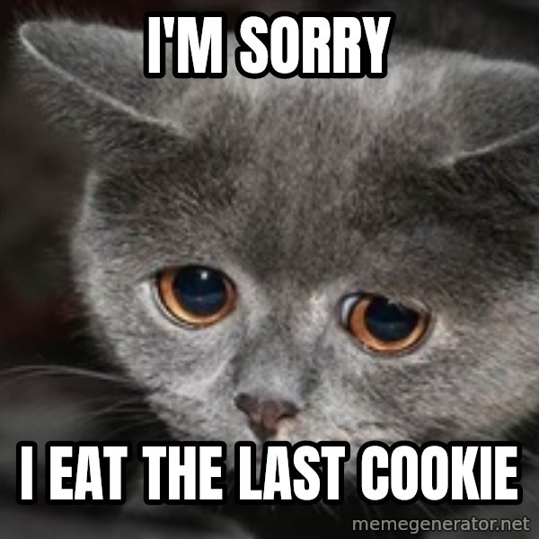 Sadcat meme: i'm sorry / i eat the last cookie