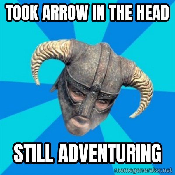 skyrim stan meme: took arrow in the head / still adventuring