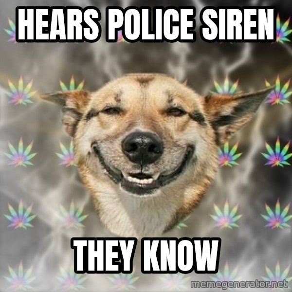 Stoner Dog meme: Hears police siren / They know