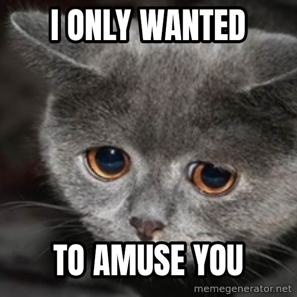 Sadcat meme: i only wanted / to amuse you