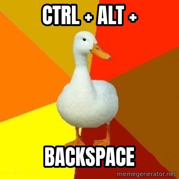 Technologically Impaired Duck meme: ctrl + alt + / backspace