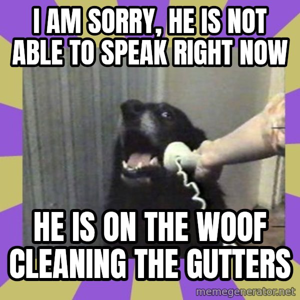 Yes, this is dog! meme: I am sOrry, he Is not able to spEak right now / He is on thE woof cleaning the gutters