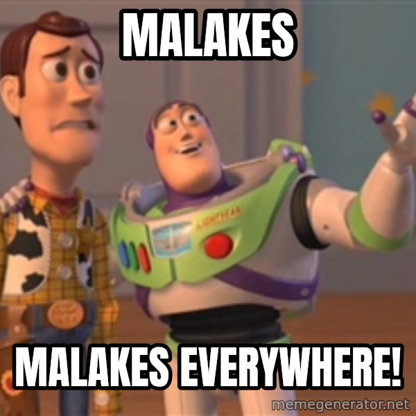 Tseverywhere meme: MALAKES / MALAKES EVERYWHERE!