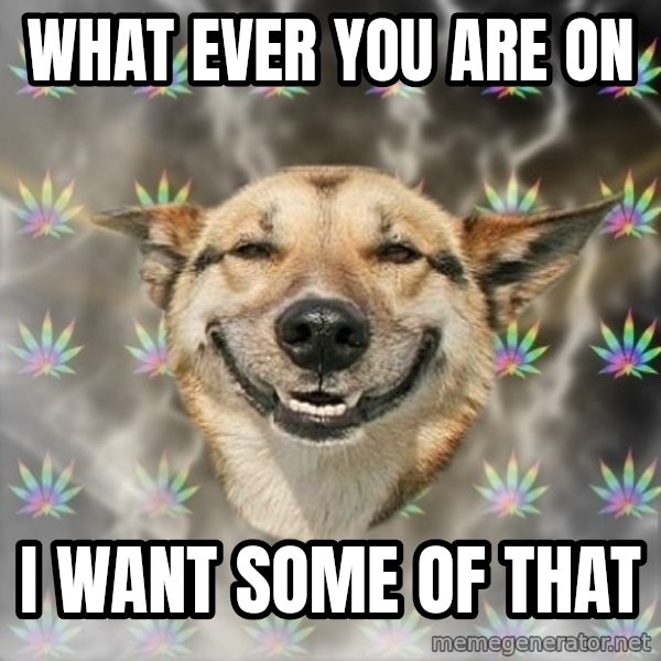 Stoner Dog meme: what ever you are on / I want some of that