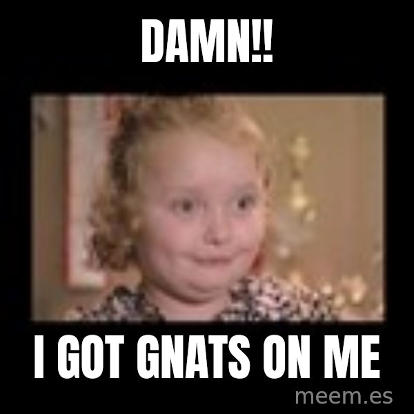 Honey BooBoo meme: damn!! / i got gnats on me