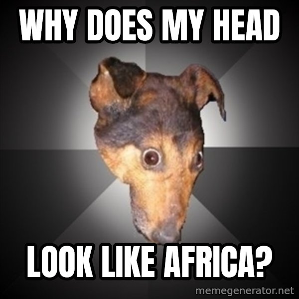 Depression Dog meme: why does my head / look like africa?