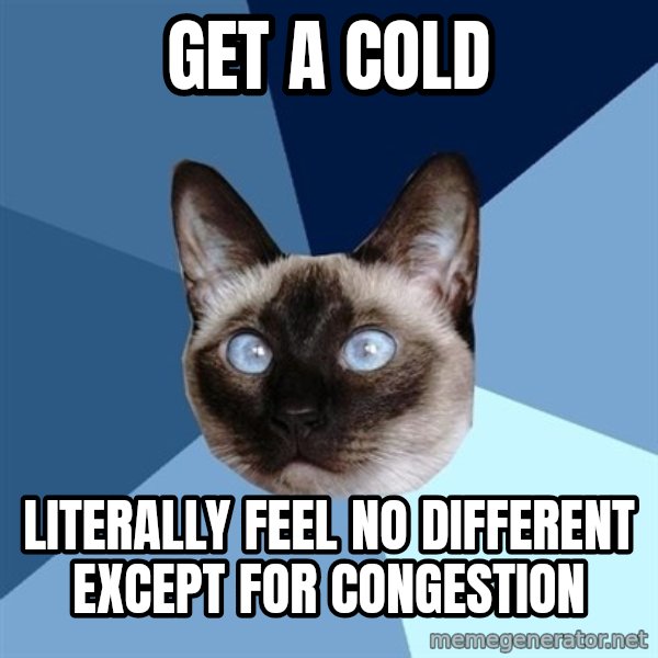 Chronic Illness Cat meme: Get a cold / Literally feel no different except for congestion
