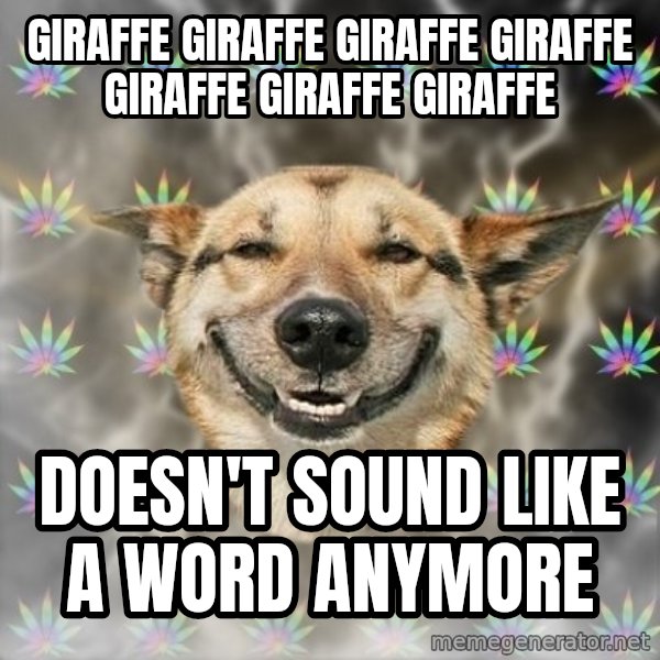 Stoner Dog meme: giraffe giraffe giraffe giraffe giraffe giraffe giraffe / doesn't sound like a word anymore