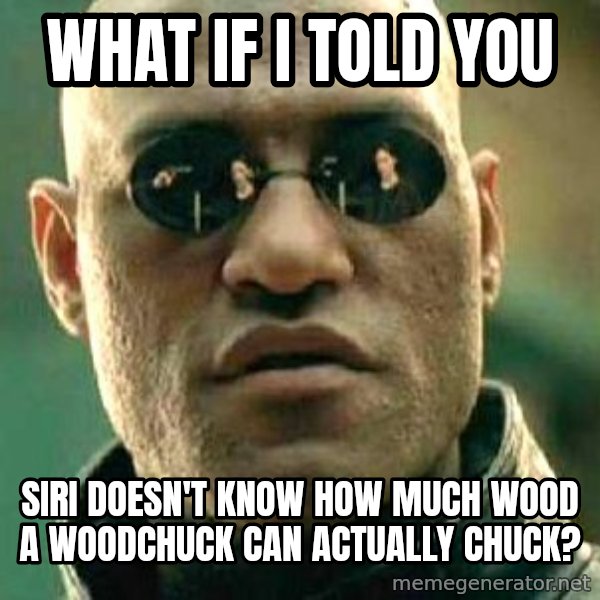 What if I told you / Matrix Morpheus meme: What if I told you / Siri doesn't know how much wood a woodchuck can actually chuck?