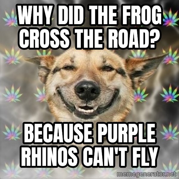 Stoner Dog meme: Why did the frog cross the road? / because purple rhinos can't fly