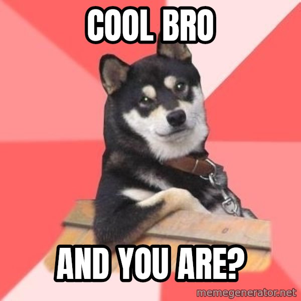 Cool Dog meme: cool bro / and you are?