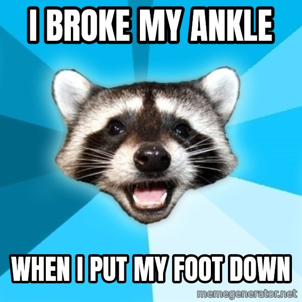 Lame Pun Coon meme: i broke my ankle / when i put my foot down