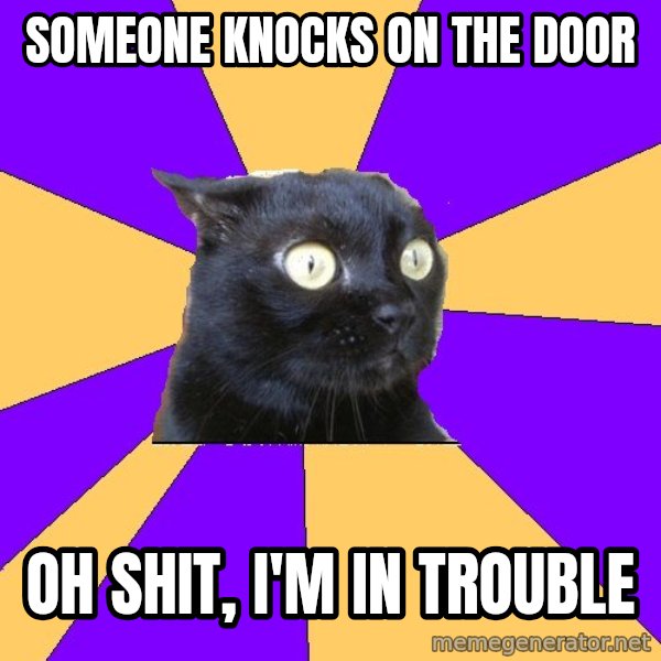 Anxiety Cat meme: Someone knocks on the door / Oh shit, I'm in tRouble
