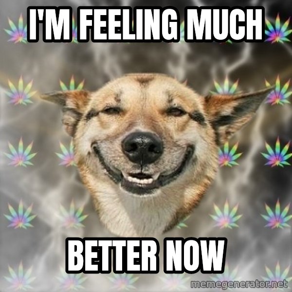 Stoner Dog meme: I'm Feeling Much / Better Now