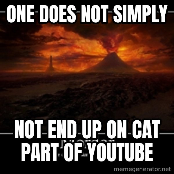 One Does Not Simply meme: one does not simply / not end up on cat part of youtube