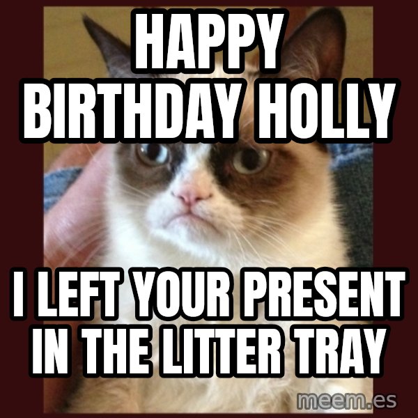 Tard the Grumpy Cat meme: Happy birthday holly / i left your present in the litter tray