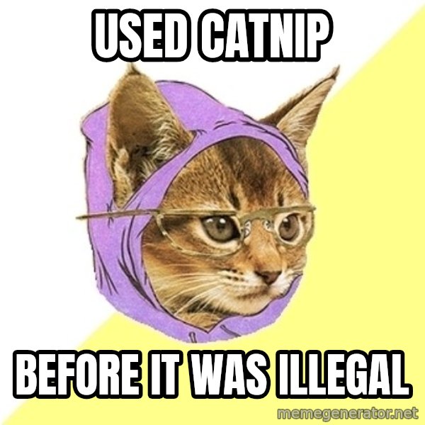 Hipster Kitty meme: used catnip / before it was illegal