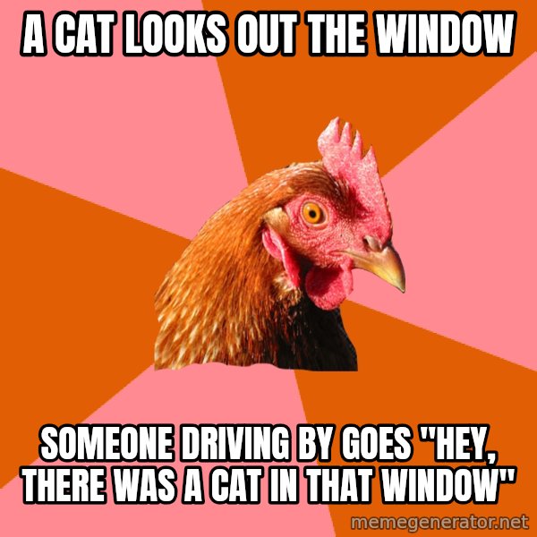 Anti Joke Chicken meme: a cat looks out the window / someone driving by goes "hey, there was a cat in that window"
