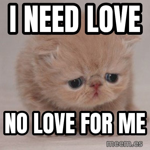 Super Sad Cat meme: I NEED LOVE / NO LOVE FOR ME