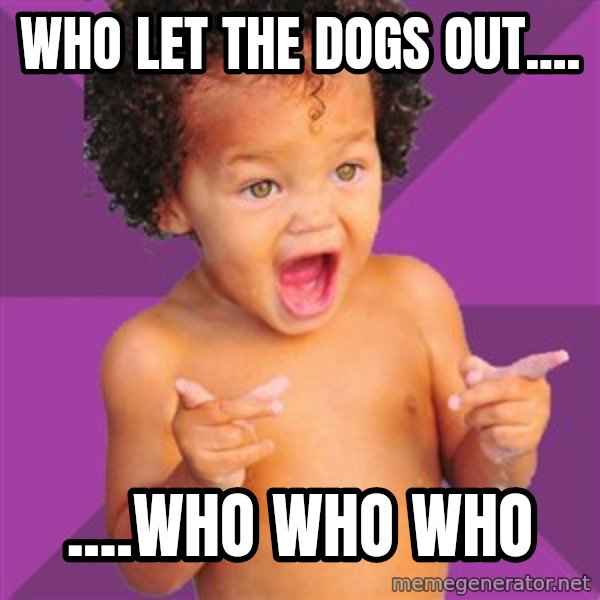 Baby $wag meme: Who let the dogs out.... / ....who who who