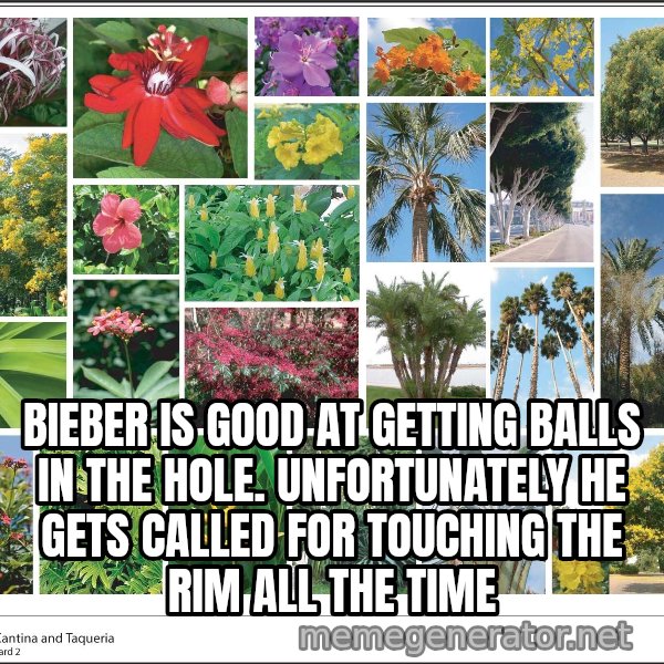 imageboard meme: Bieber is good at getting balls in the hole. Unfortunately he gets called for touching the rim all the time