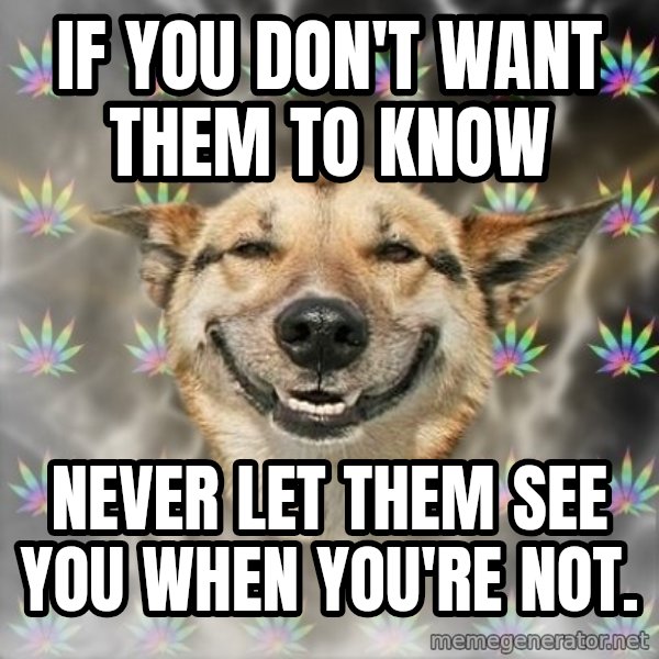 Stoner Dog meme: if you don't want them to know / never let them see you when you're not.