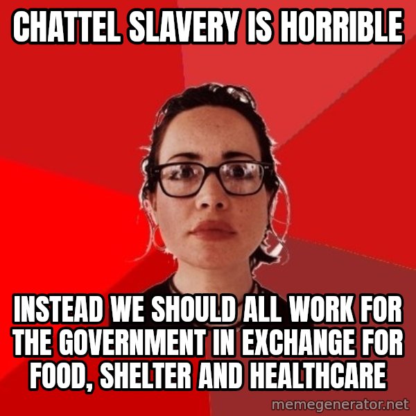 Liberal Douche Garofalo meme: Chattel slavery is horrible / INstead we should all work for the government in exchange for food, shelter and healthcare