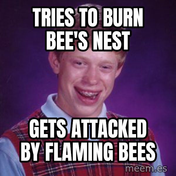 Bad Luck Brian Meme meme: Tries to burn bee's nest / gets attacked by flaming bees
