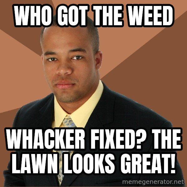 Successful Black Man meme: who got the weed / whacker fixed? the lawn looks great!