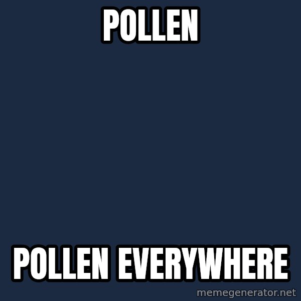 X, X Everywhere  meme: POLLEN / POLLEN EVERYWHERE