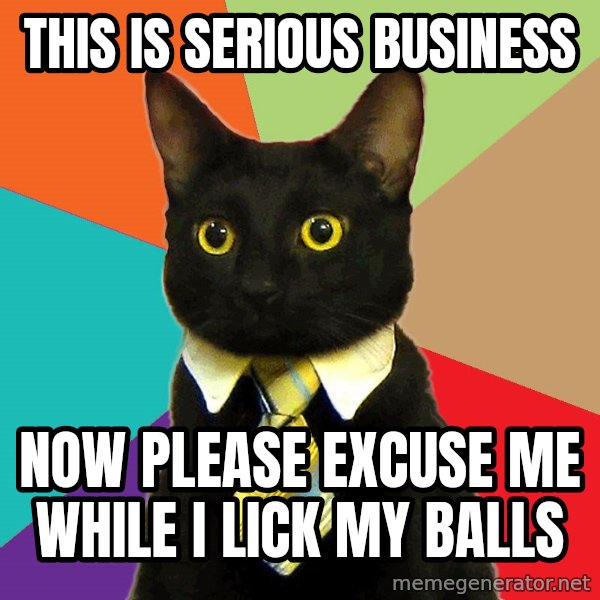 Business Cat meme: THis is serious business / now please excuse me while i lick my balls