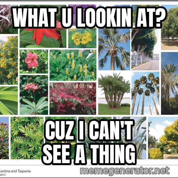 imageboard meme: What u lookin at? / cuz i can't see a thing