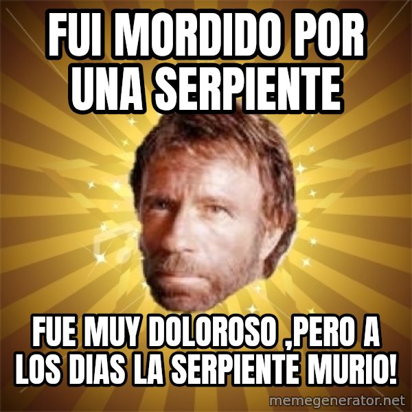 Chuck Norris Advice meme: fui mordido por una serpiente / fue muy doloroso ,pero a los dias la serpiente murio!