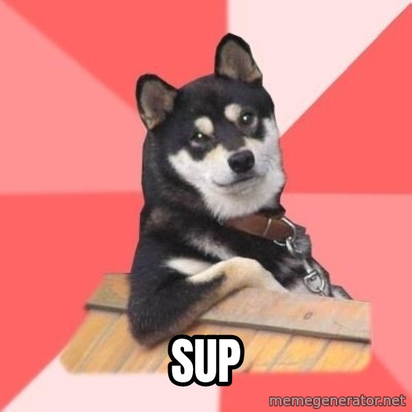 Cool Dog meme: sup