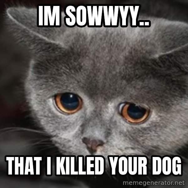 Sadcat meme: im sowwyy.. / that i killed your dog