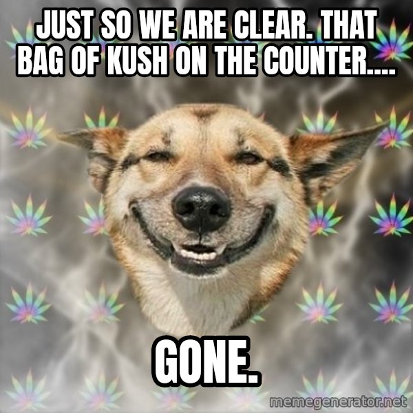 Stoner Dog meme: Just so we are clear. that bag of kush on the counter.... / gone.