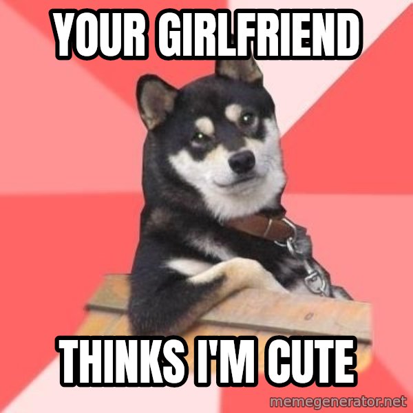 Cool Dog meme: Your girlfriend / thinks i'm cute