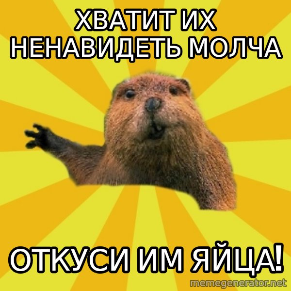grumpy beaver meme: хватит их ненавидеть молча / откуси им яйца!