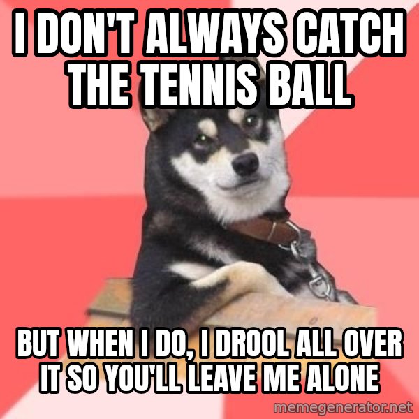 Cool Dog meme: i don't always catch the tennis ball / but when i do, i drool all over it so you'll leave me alone