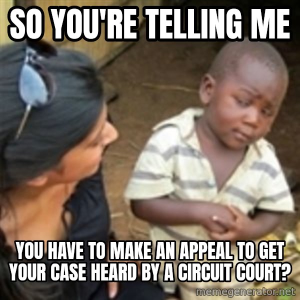 Skeptical african kid  meme: so you're telling me / you Have to make an Appeal to get your case heard by a circuit court?