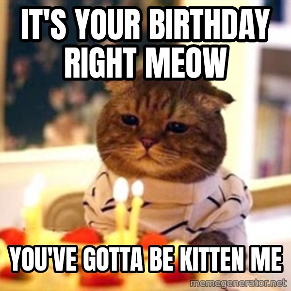Birthday Cat meme: It's Your birthday right meow / you've gotta be kitten me