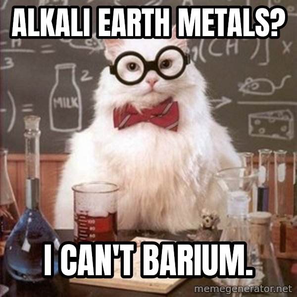Chemistry Cat meme: Alkali Earth Metals? / I can't Barium.