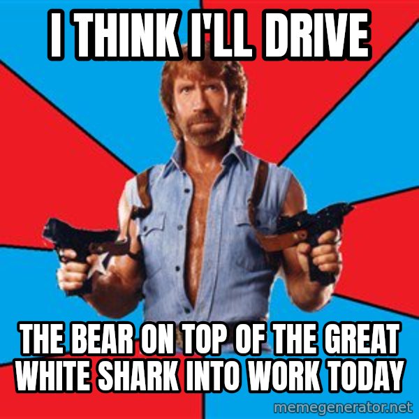 Chuck Norris  meme: I think I'll drive / the bear on top of the great white shark into work today