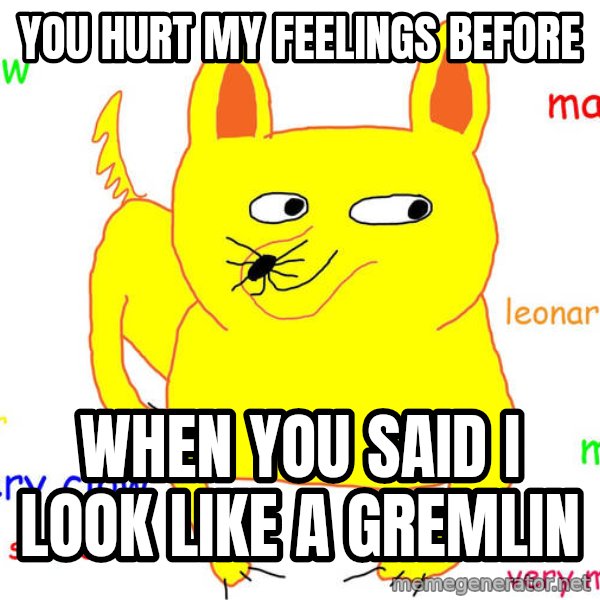 Grumpy Cat  meme: you hurt my feelings before / when you said I look like a gremlin
