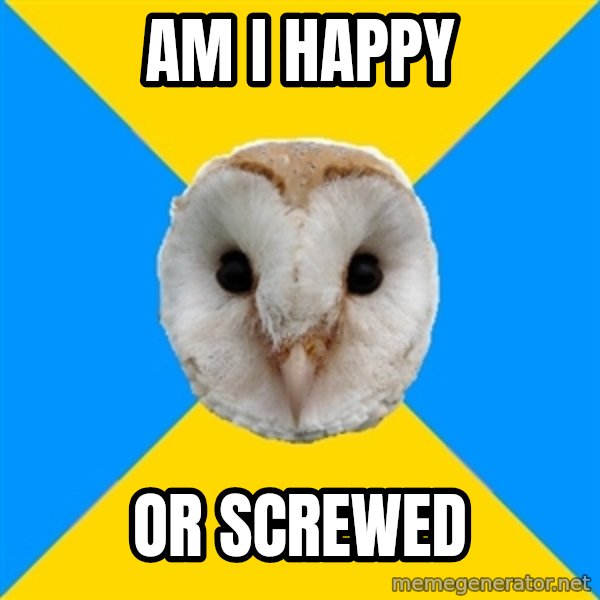 Bipolar Owl meme: am i happy / or screwed