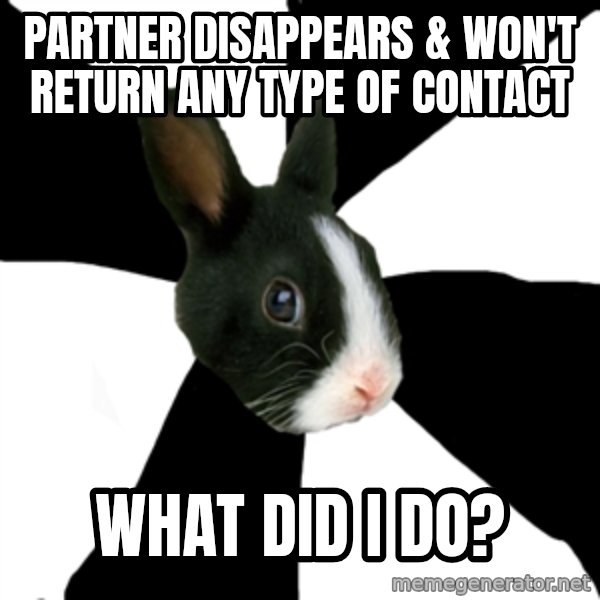Roleplaying Rabbit meme: Partner DISAPPEARS & won't return any type of contact / What did I do?
