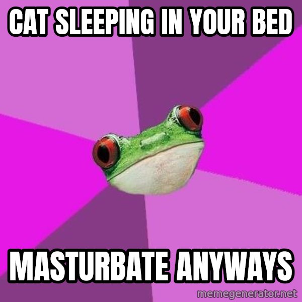 Foul Bachelorette Frog meme: cat sleeping in your bed / masturbate anyways