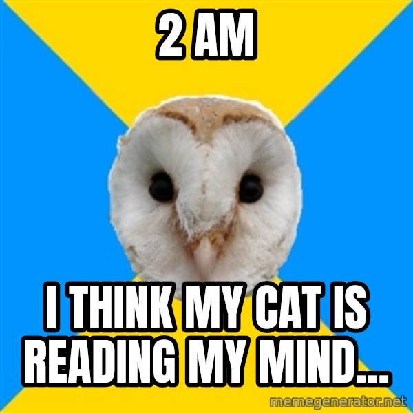 Bipolar Owl meme: 2 AM / I Think My Cat Is Reading My Mind...