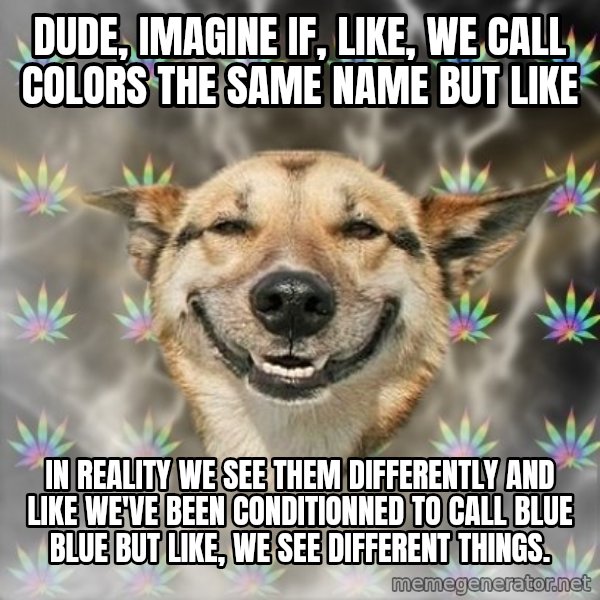Stoner Dog meme: dude, imagine if, like, we call colors the same name but like / in reality we see them differently  and like we've been conditionned to call blue blue but like, we see different things.